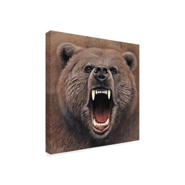 Harro Maass 'Bear Portrait' Canvas Art,35x35